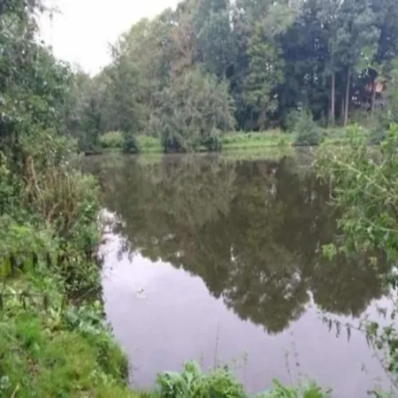 In Kuehlungsborn-west Holiday home