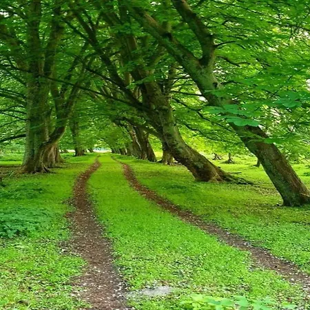 In Kuehlungsborn-west Vakantiehuis