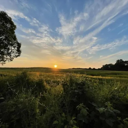 In Kuehlungsborn-west Holiday home Kuehlungsborn
