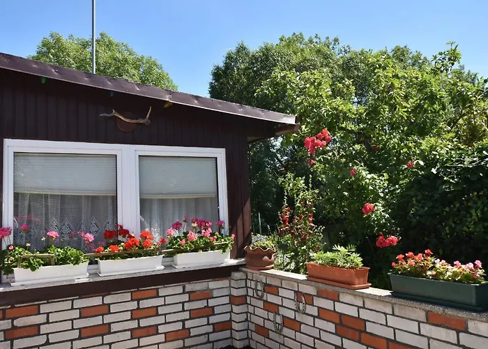 In Kuehlungsborn-west Holiday home *